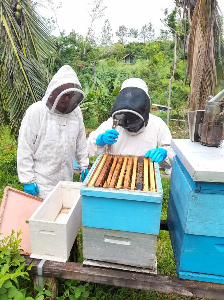 2022 BEEKEEPER MENTOR PROGRAM – Fiji Beekeepers Association